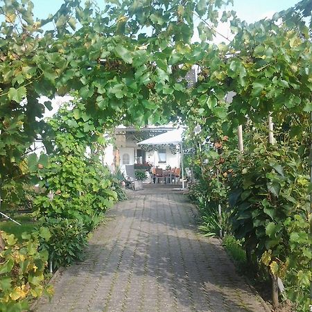 Ferienweingut Arnold Thiesen Leilighet Bruttig-Fankel Eksteriør bilde